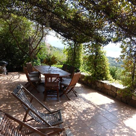 Villas Valinco San Martinu Corse du Sud - vue et proche mer - piscines privées Olmeto  Habitación foto